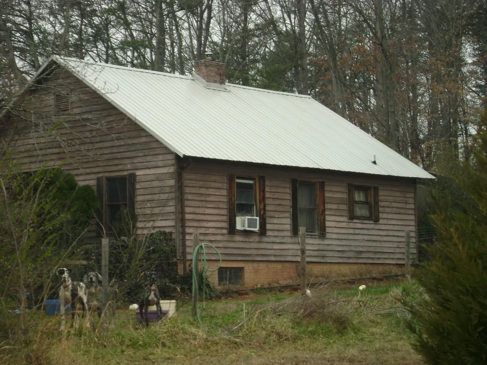 White metal roof on an old wood sided farmhouse, from a Asphalt Shingle Roof Repair job in Beatty